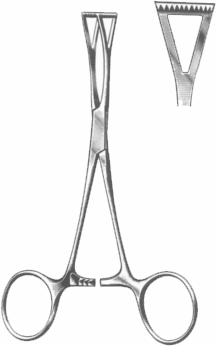  Collin Forceps